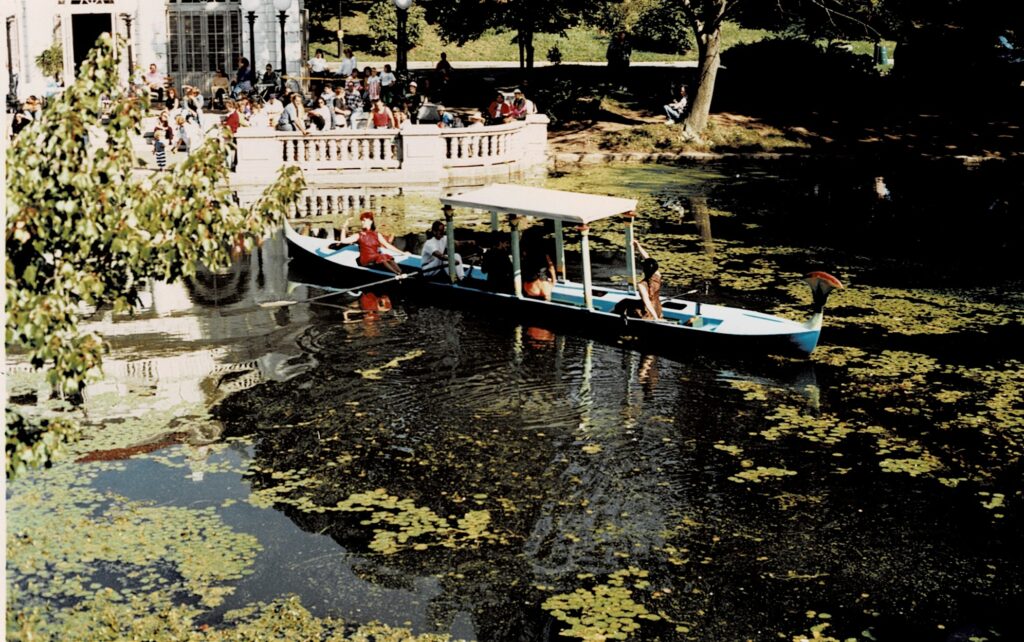 CCI 000119 2 1024x642